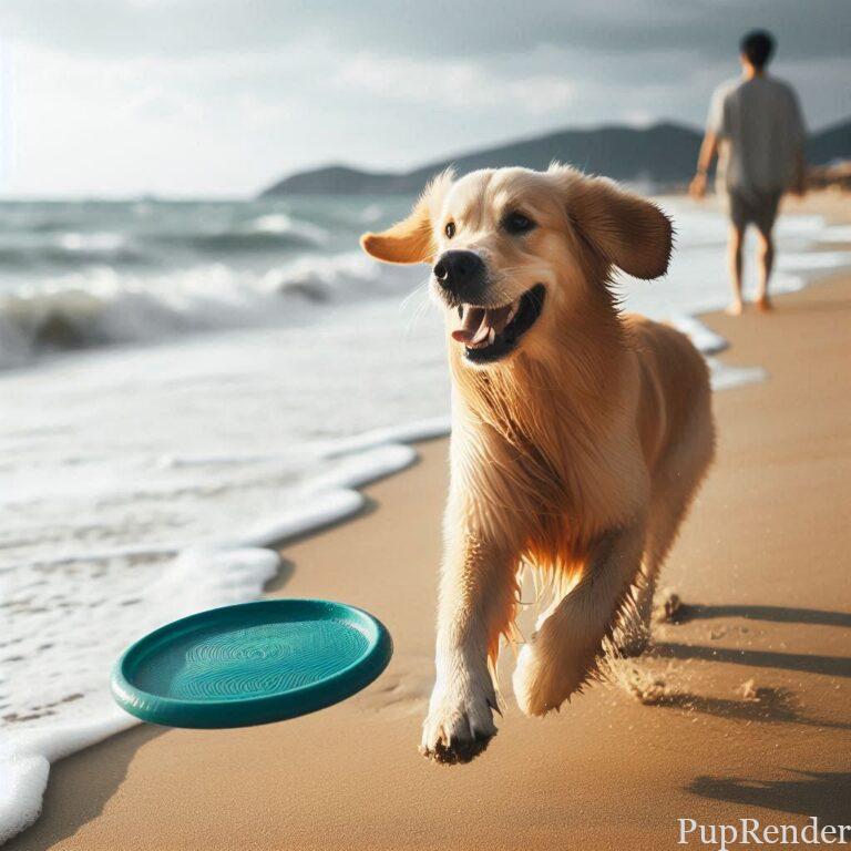 Dog playing on a sandy beach